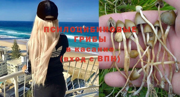 молекула духа Медвежьегорск