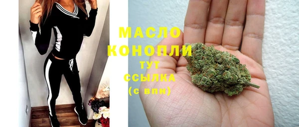 молекула духа Медвежьегорск