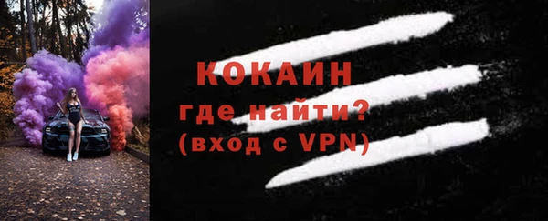 молекула духа Медвежьегорск