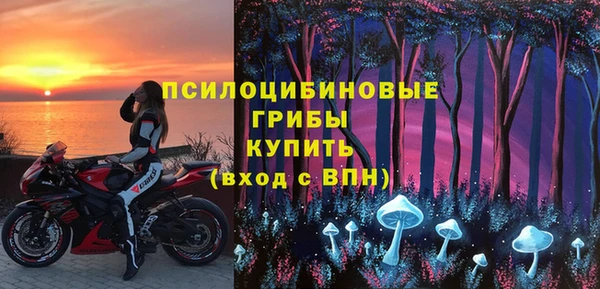 эйфоретик Медногорск
