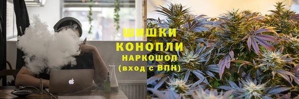 молекула духа Медвежьегорск