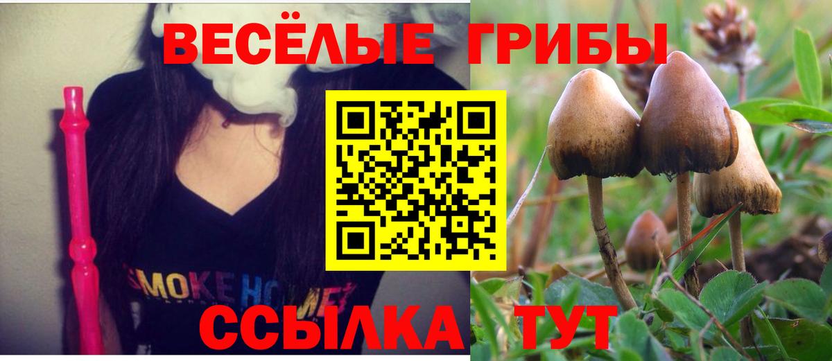 Галлюциногенные грибы мухоморы Михайловск