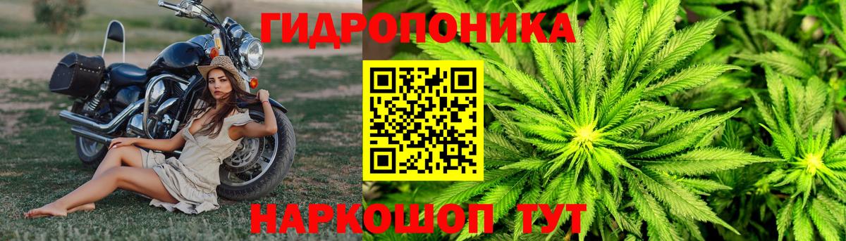 Михайловск  Бошки марихуана OG Kush  МАРИХУАНА AK-47  Вход с VPN 